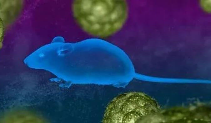 Ladbrokes立博药效服务赋能First-in-Class泛素化抑制剂研发