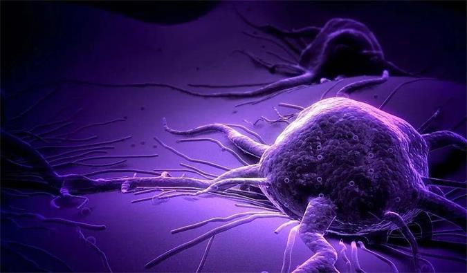 Ladbrokes立博助力轩竹生物研发的完全敲除岩藻糖的双抗ADC药物KM501获批临床