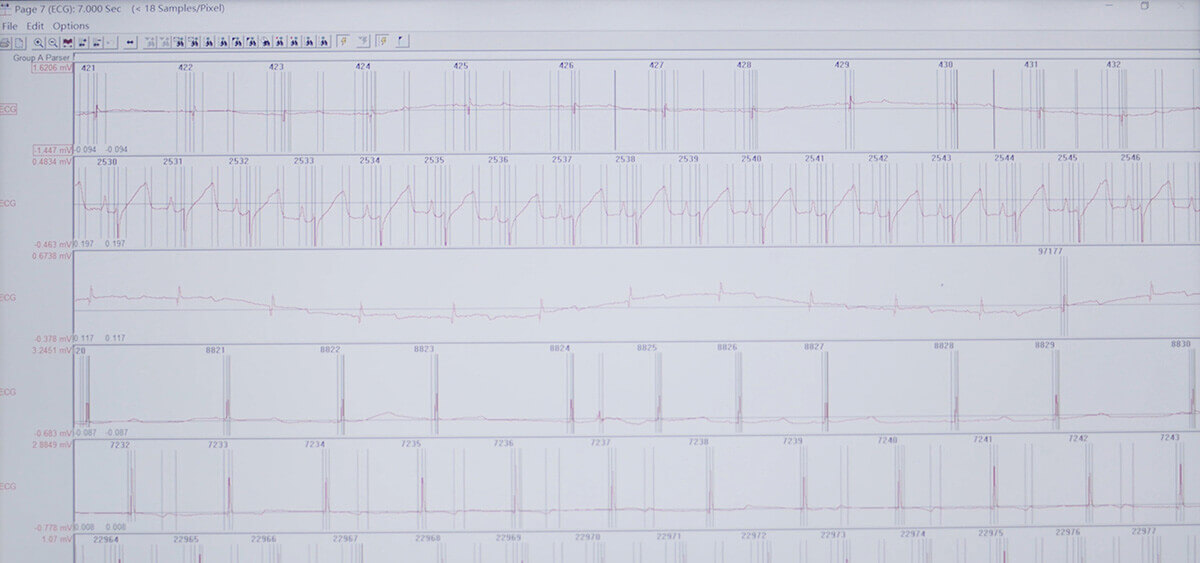 Ladbrokes立博 SEND 数据转换平台