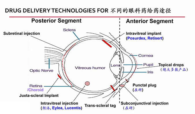 【内附回放+下半场预约】Ladbrokes立博眼科药物专题钻研会上半场精彩回首
