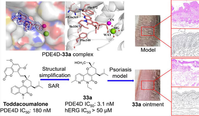 发明用于局部治疗牛皮癣的新型PDE4抑制剂，，小鼠、、、大鼠和人肝微粒体的代谢稳固性实验通过Ladbrokes立博测定