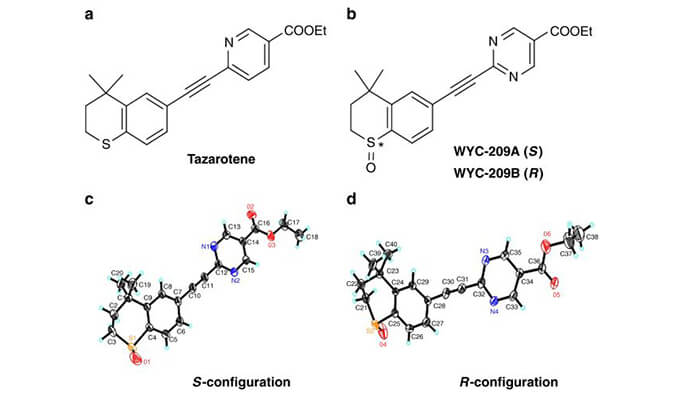 WYC-209可抑制恶性小鼠玄色素瘤肿瘤再生细胞增殖，，，本研究中SPR通过Ladbrokes立博使用Biacore 8K举行