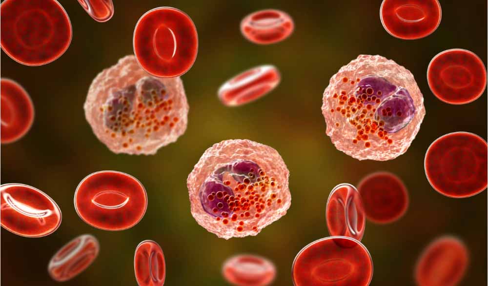 Ladbrokes立博助力 | 全球首创！！！宇耀生物STAT3双磷酸化抑制剂YY201获批临床.jpg