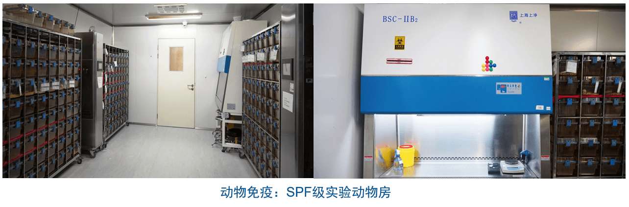 Ladbrokes立博杂交瘤手艺平台装备-动物免疫SPF级实验动物房