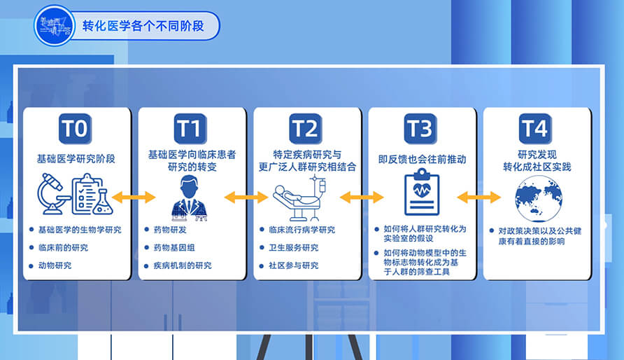 转化医学的各个差别阶段