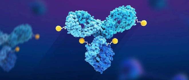 天下肿瘤日聚焦：：：AACR年会引领全球肿瘤新药趋势，，，国产药引领风潮
