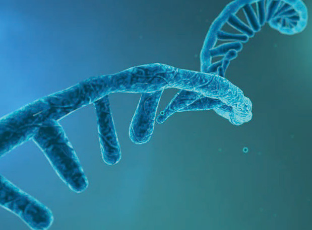 硬“核”新质生产力！！！陈春麟博士加入中国药学会核酸药物专业委员会建设大会