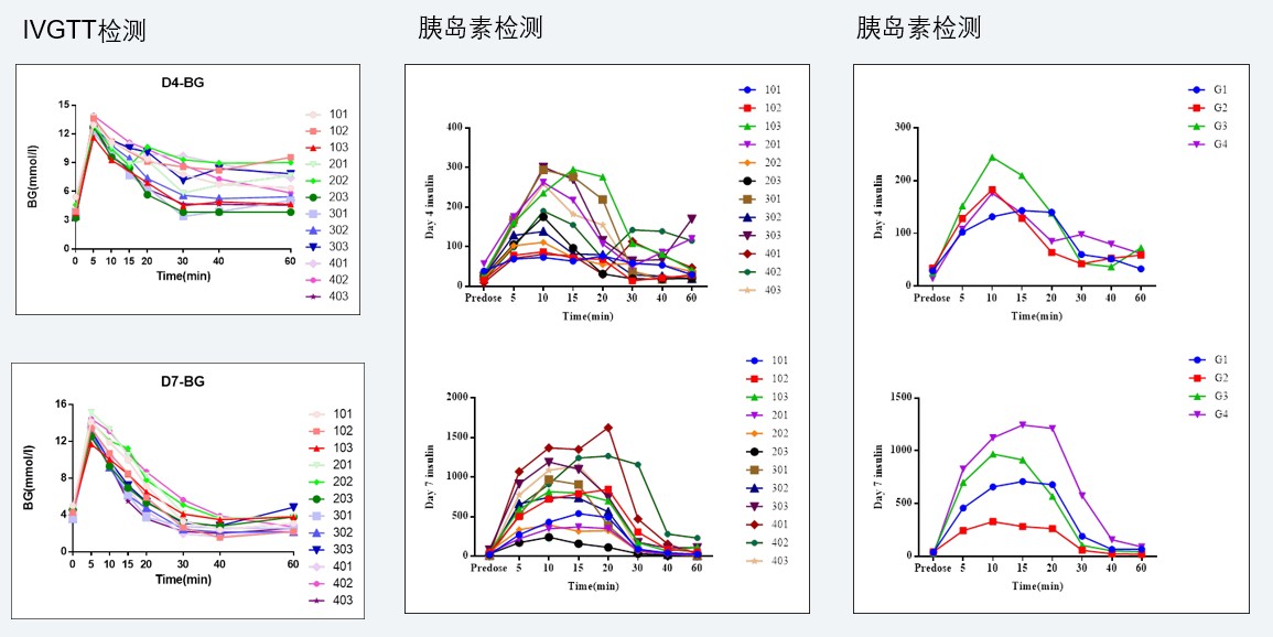 案例4：：：食蟹猴IVGTT和胰岛素检测实验.jpg