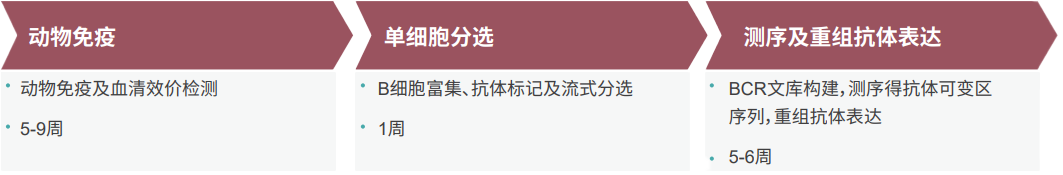 Ladbrokes立博单B细胞抗体发明平台