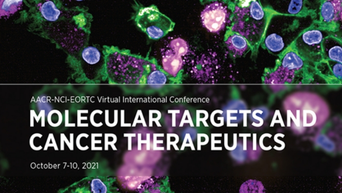 通过联合治疗提高免疫疗法疗效，，，本研究中临床前体内药效研究通过Ladbrokes立博举行