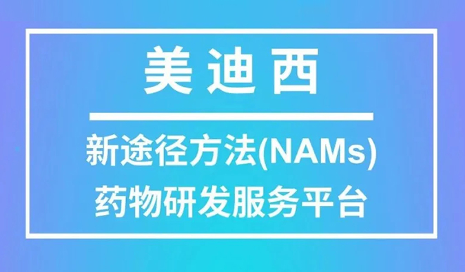 NAMS服务平台.jpg